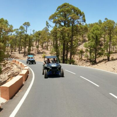 Buggy Cannary Tour Tenerife – Scenic Road Experience (3 Hours)