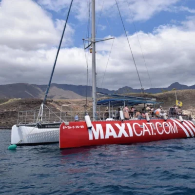 Maxicat Whale Watching Excursion – A Marine Adventure in Tenerife!