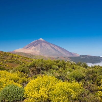 Private Tour – Masca & Teide – Discover Tenerife’s Natural Wonders