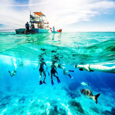 Discover Scuba Diving Tenerife