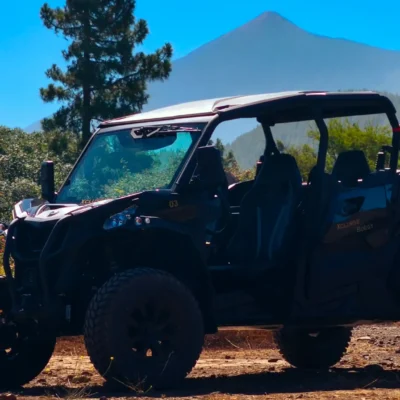 Xclusive 3h Buggy Road Tour Tenerife