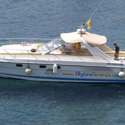 Skyline Cruiser – Luxury Boat Trip & Whale Watching in Tenerife (Private Charter)