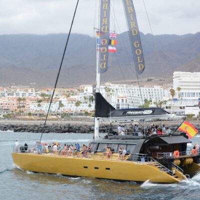 4.5-Hour Masca & Los Gigantes Boat Trip – Freebird