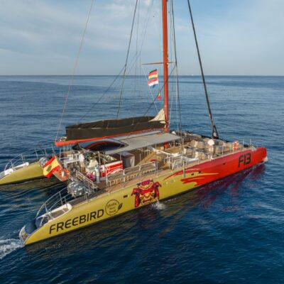 2 Hour Costa Adeje Whale Watching Boat Trip – Freebird Catamaran