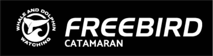 freebird